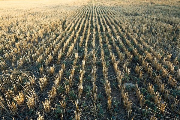Comment gérer les loyers impayés : Quelles mesures prendre ?